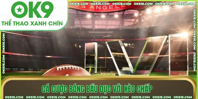 Cá cược bóng bầu dục với kèo chấp Cá cược bóng bầu dục với kèo chấp