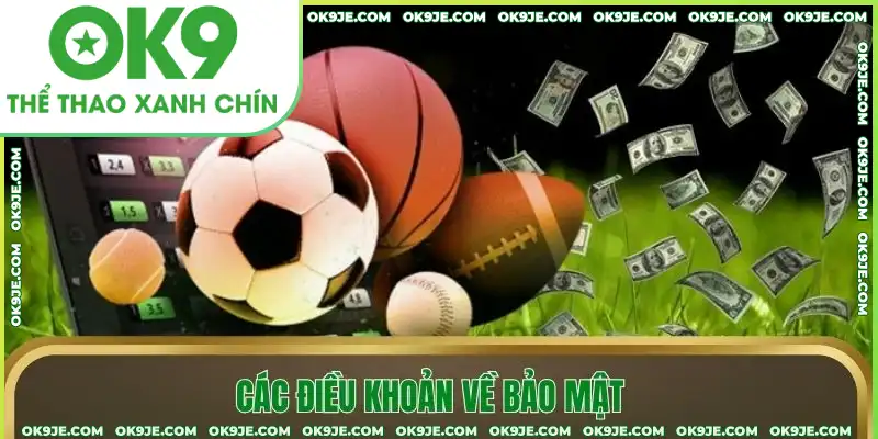 Các điều khoản về bảo mật Các điều khoản về bảo mật