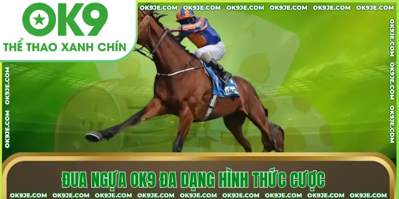 Đua ngựa OK9 đa dạng hình thức cược Đua ngựa OK9 đa dạng hình thức cược