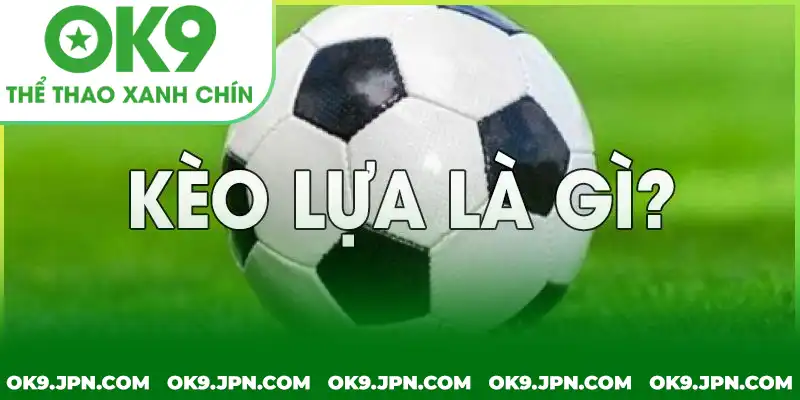 Kèo lựa là gì - Bí quyết chiến thắng cho người mới bắt đầu Kèo lựa là gì - Bí quyết chiến thắng cho người mới bắt đầu