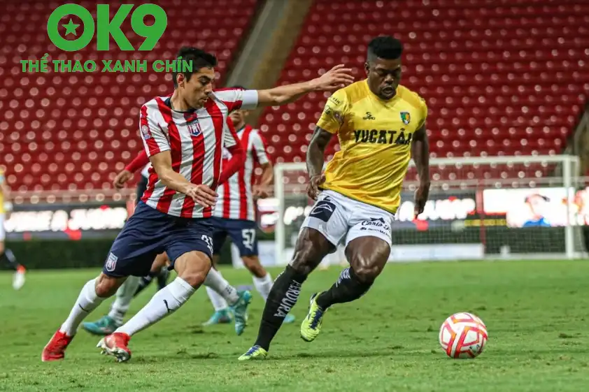 Tapatio đang có phong độ ấn tượng Tapatio đang có phong độ ấn tượng